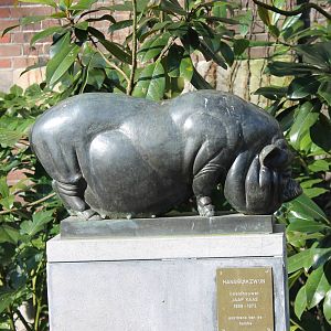 Statue Pot-bellied pig