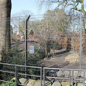 Wolf seperation enclosure