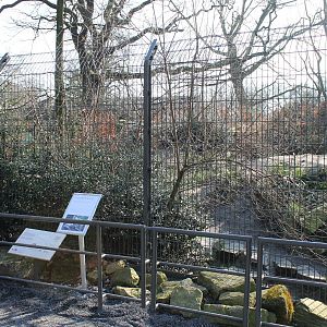 Main enclosures Wolves