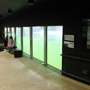 Indoor Hippo enclosure