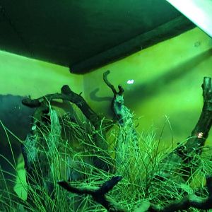 European Genet 140216