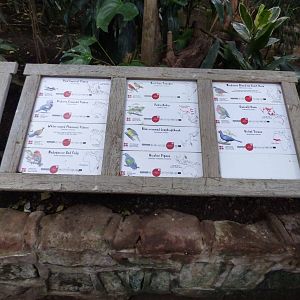 Signage for birds in Tropical Realm