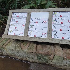 Signage for birds in Tropical Realm