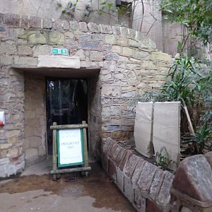 Covered up Aye-Aye signage