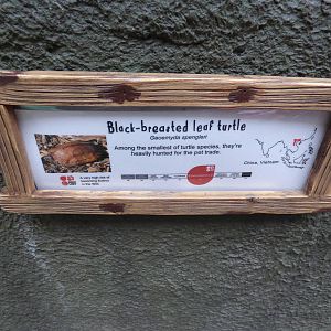 Black-breasted leaf turtle signage