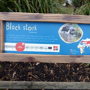 New signage style for Black Stork