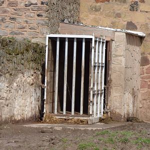 Travel crate outside black rhino house