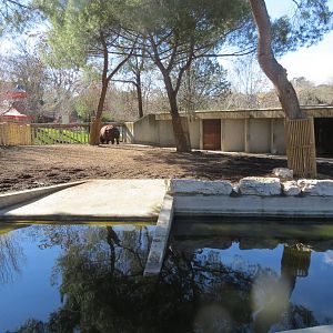 Indian Rhinoceros enclosure 150216