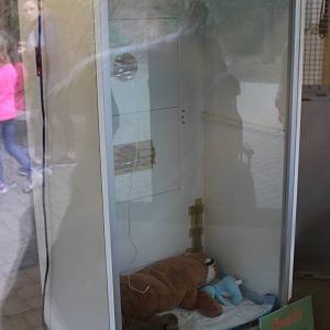 Mar. 2016 - Children's Zoo - Cheetah Cub Holding