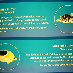 Example of Signage - 26 March 2016