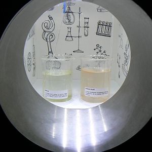 Plankton Exhibit - 26 March 2016