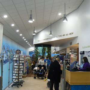 View of the Shop - 26 March 2016