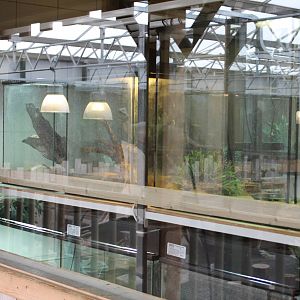 Reptile and amphibian raising room