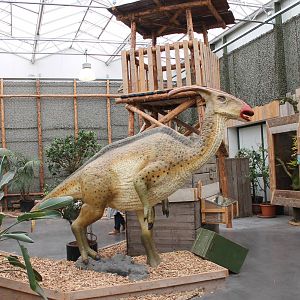 View in the Dino-hall