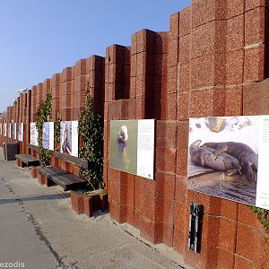 Display Along Outside Wall - Hel Fokarium