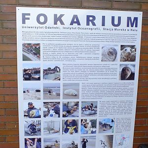 Sign - Hel Fokarium