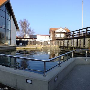 First Seal Pool - Hel Fokarium