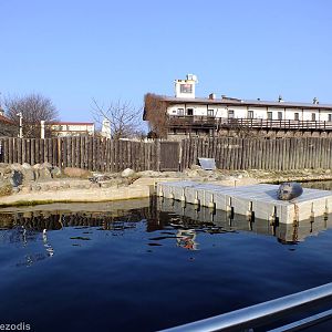 Main Seal Pool - Hel Fokarium