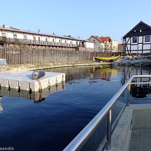 Main Seal Pool - Hel Fokarium