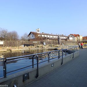 Main Seal Pool - Hel Fokarium