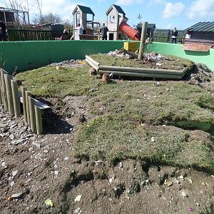 Slender Tailed Meerkat Enclosure