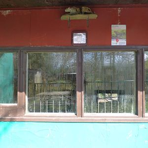 Viewing for Indoor Leopard Enclosure