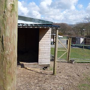 Emu House in Extension