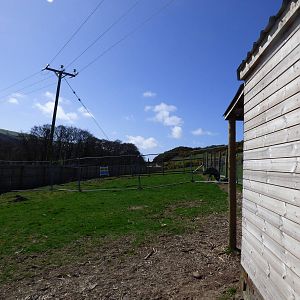 View of Emu Enclosure in extension