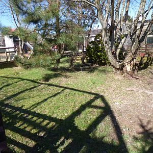 Outdoor Spurred Tortoise Enclosure