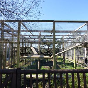 Extension to Leopard Enclosure