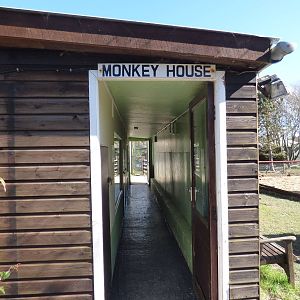 Monkey House home to B & W Ruffed Lemur, Weeper Capauchin, Cotton Eared