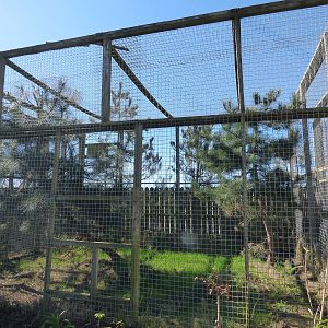 Empty Ocelot Enclosure