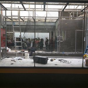 Small Mammal House - Exhibit Renovation