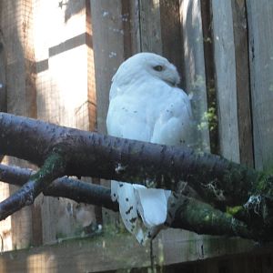 Tallinn Zoo: August 2015