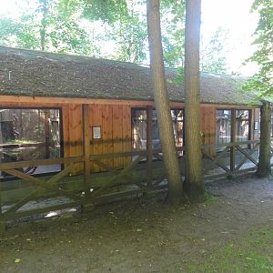 Tallinn Zoo: August 2015