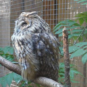 Tallinn Zoo: August 2015