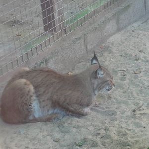 Tallinn Zoo: August 2015