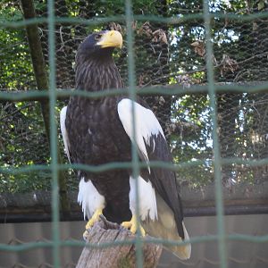 Tallinn Zoo: August 2015