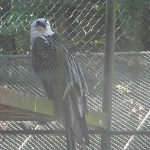 Tallinn Zoo: August 2015