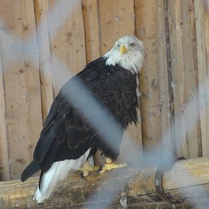 Tallinn Zoo: August 2015