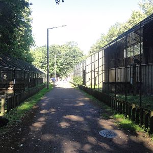 Tallinn Zoo: August 2015