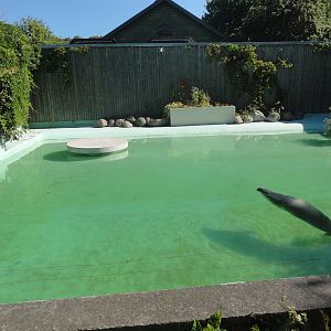 Tallinn Zoo: August 2015