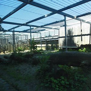 Tallinn Zoo: August 2015