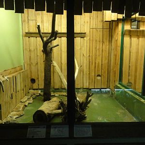 Tallinn Zoo: August 2015