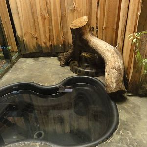 Tallinn Zoo: August 2015