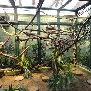 Tallinn Zoo: August 2015