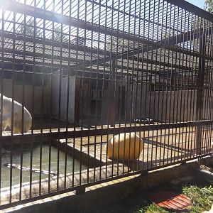 Tallinn Zoo: August 2015