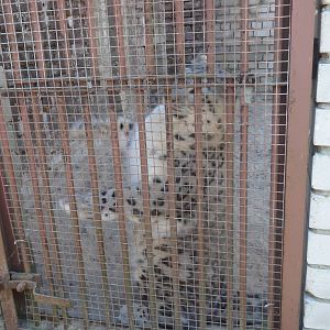 Tallinn Zoo: August 2015