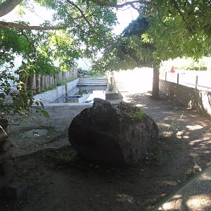 Tallinn Zoo: August 2015