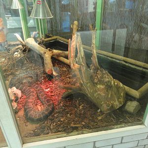 Tallinn Zoo: August 2015